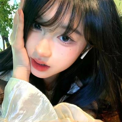 企鹅家族